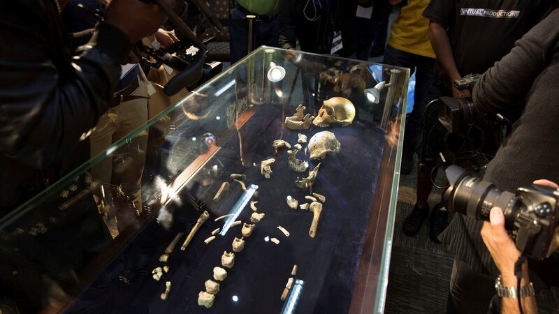 Journalists crowd around Homo naledi remains on display at the Cradle of Humankind World Heritage site near Johannesburg, South Africa. Photograph: Reuters