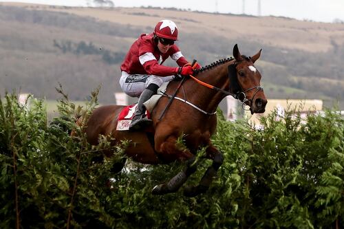 Tiger Roll ready to etch his name further into Cheltenham lore