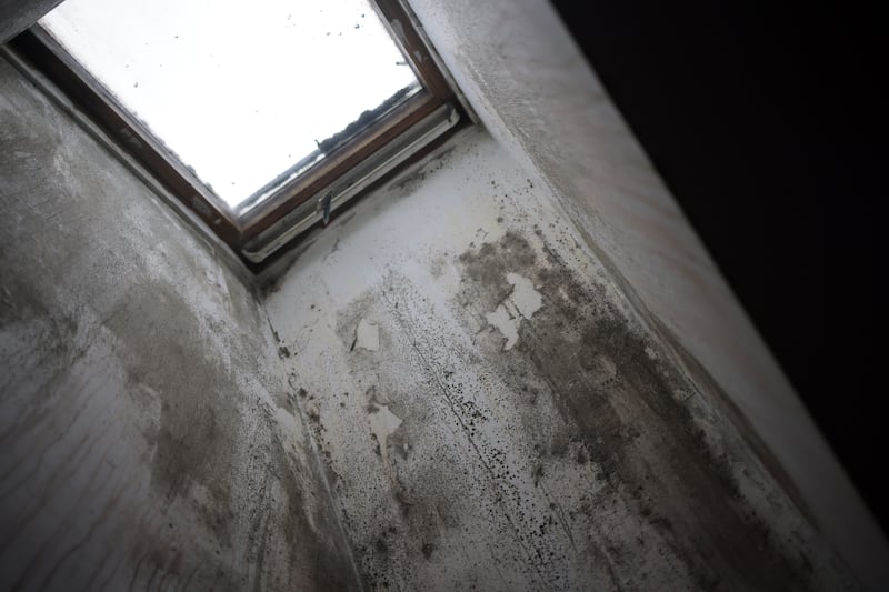 Mould growing in a Traveller family's home at Waterford’s Kilbarry halting site housing scheme. Photograph: Chris Maddaloni/The Irish Times