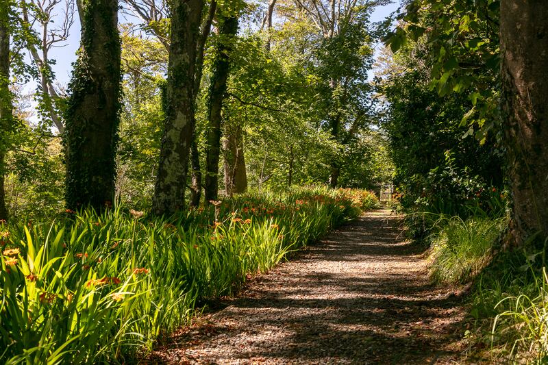 Tree lined walks lead to woodlands