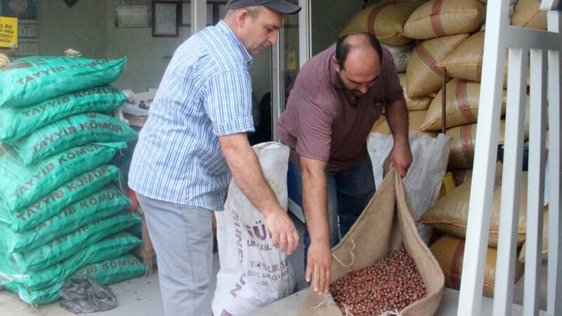 Osman (right) of the Ayci Hazelnut company in Gorele, Turkey, helps load a farmer’s harvested nuts on to a scales