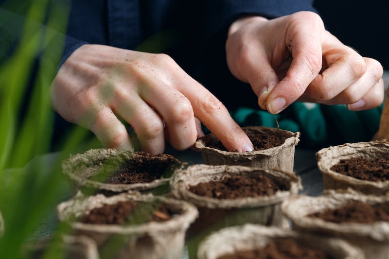 The quickening pace of growth is as daunting as it is inspiring, with so much in the garden that needs doing. Photograph: iStock