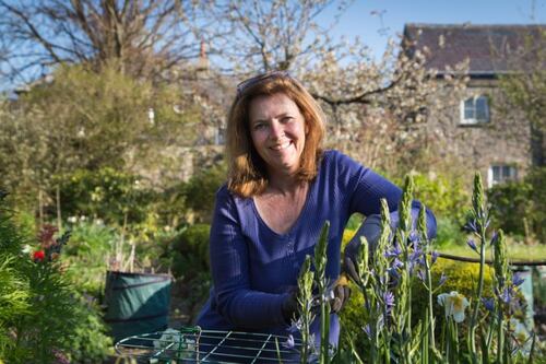 Garden designer finds inspiration in the poetry of WB Yeats