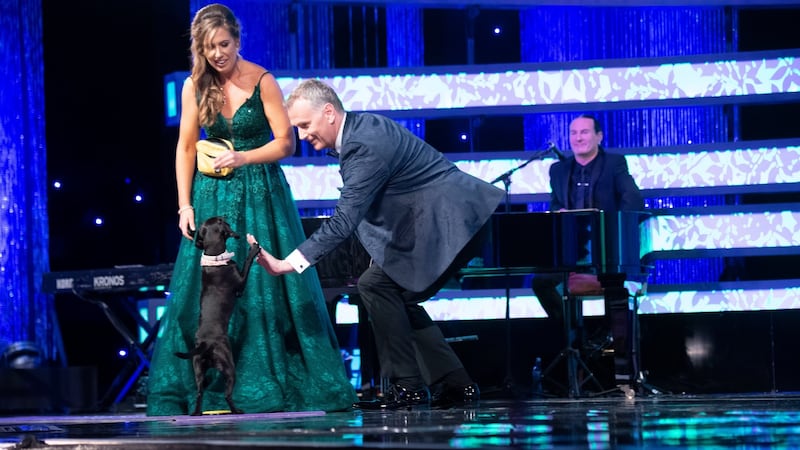 Dublin Rose Laura Vines looks on as  her dog Penny high fives Daithí Ó Sé. Photograph: Domnick Walsh