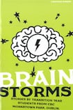 Brain Storms