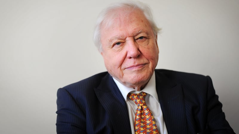 David Attenborough, presenter of Blue Planet II:  The series prompted people to voice their frustration about plastic pollution, said Friends of the Earth director Oisín Coghlan. Photograph: Tim Ireland/PA Wire