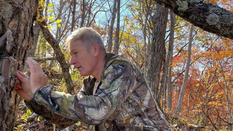 Viktor Storozhuk places a camera trap in the Land of the Leopard national park in Russia’s Far East. Photograph: Daniel McLaughlin