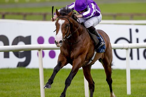 Aidan O’Brien hoping to make history with win in 2000 Guineas at Newmarket