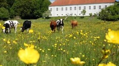 The arbjedsrefugium at Ørslev Kloster in Denmark