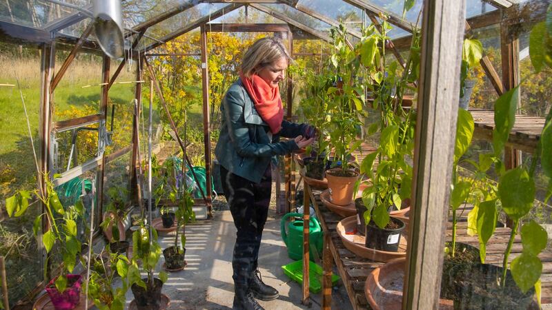 Beth-Ann Smith in the greenhouse. Photograph: Patrick Browne