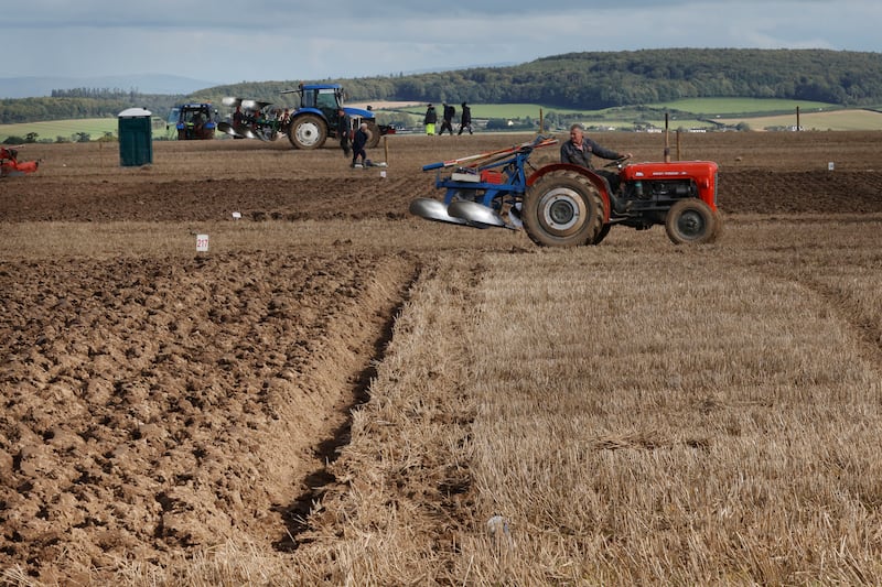 A tractor driver looks over his shoulder during one of the ploughing competitions. Photograph: Alan Betson/The Irish Times