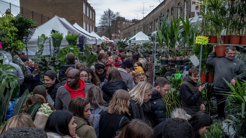 The Columbia Road flower market. Photograph: Andrew Testa/New York Times