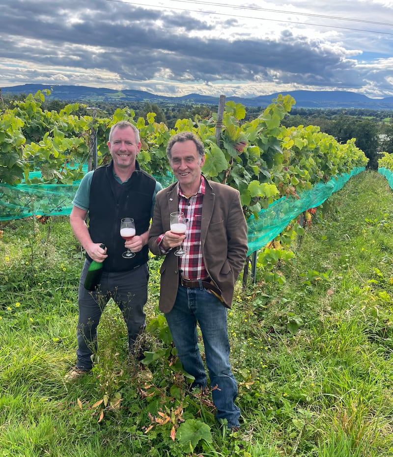 Séan Kerin and Philip Little have two small south-facing vineyards in Piltown, Co Kilkenny 