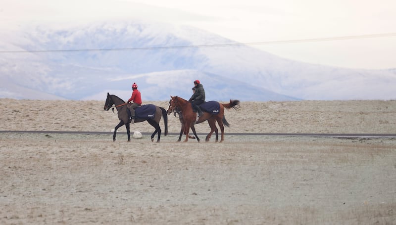 Race horses and riders head out for early morning  exercise on the frost-covered Curragh in Co Kildare. Photograph: Eamonn Farrell/© RollingNews.ie