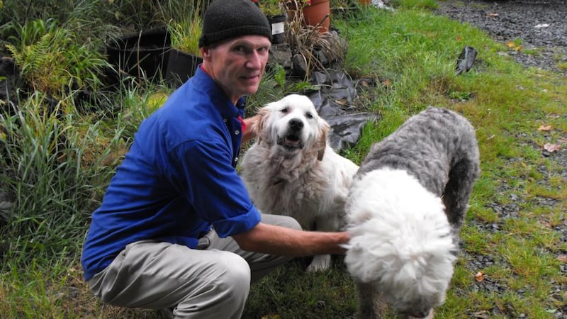 Dog psychologist John Hale: his work involves trying to connect with the dog’s natural instincts to help correct unwanted behaviour