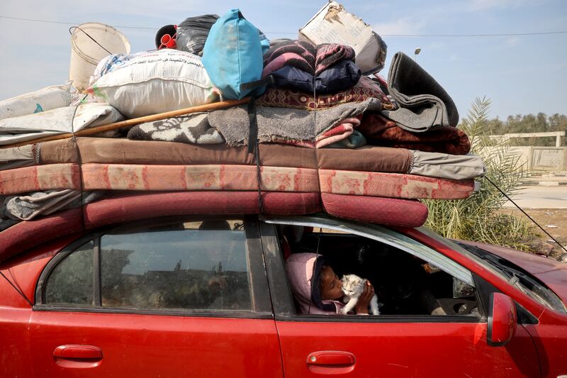 A displaced Palestinian child plays with a kitten in a car on Salah al-Din road in Nuseirat as people make their way to the northern part of the Gaza strip. Photograph: Eyad Baba/Getty Images
