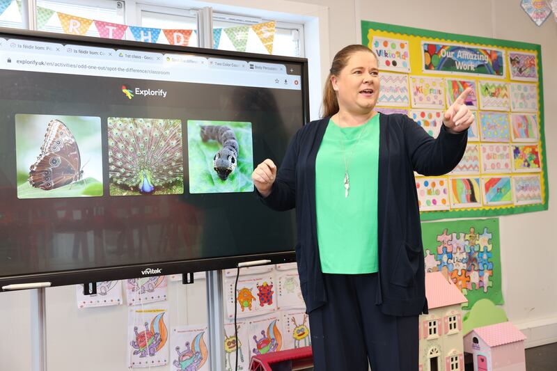 Kathleen Byrne in her classroom at Cherrywood Educate Together National School in Cherrywood, South Dublin. Photograph: Laura Hutton