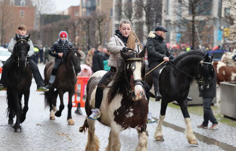 At the Smithfield Horse Fair, Dublin. Photographs: Dara Mac Dónaill/The Irish Times