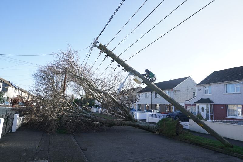 A fallen tree and pole on Grove Park Drive, Dublin, on January 24 after Storm Éowyn battered the country. Photograph: Brian Lawless/PA