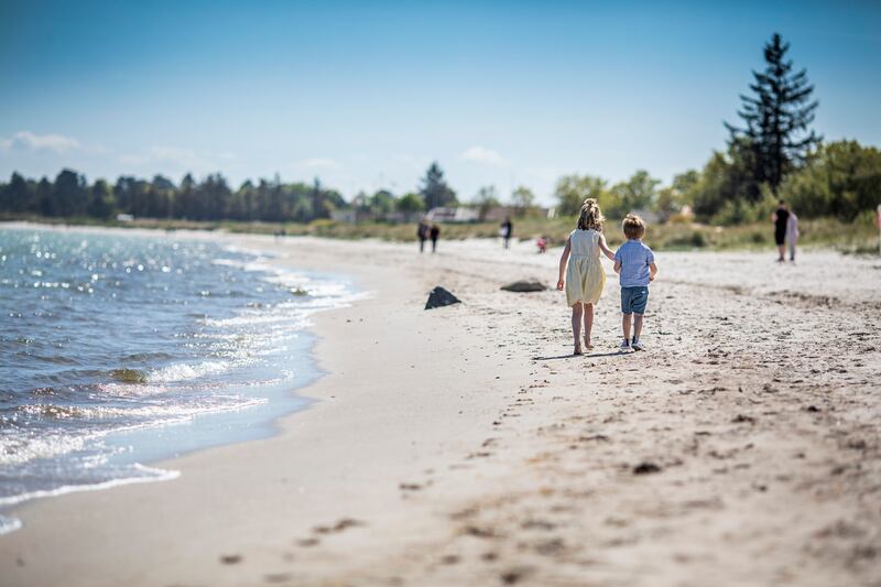 Saksild Strand, Jutland. Photograph: Jesper Rais