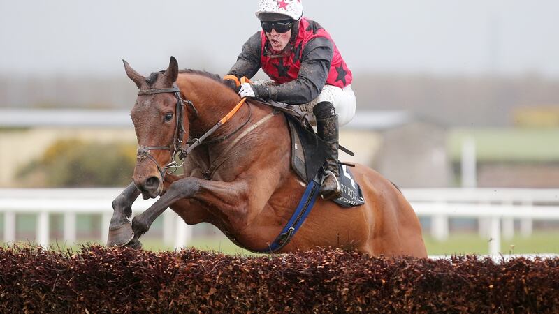 Prospectus scored for Gavin Cromwell on Tuesday with JB Kane on board. Photograph: Jonathan Porter/Inpho/Presseye