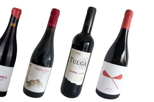 There’s more to Spanish wine than Rioja - here are four from very different regions