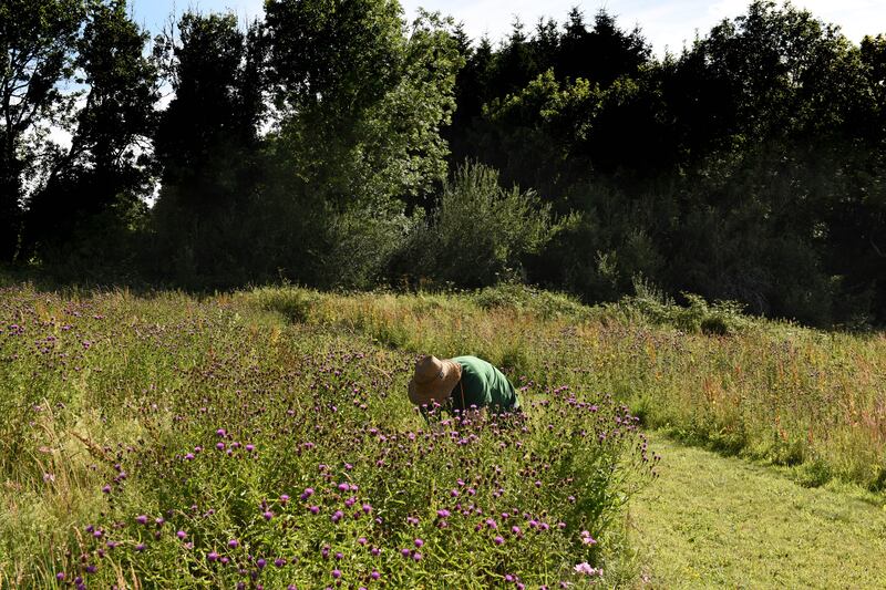 Photograph: Clare-Louise Donelan