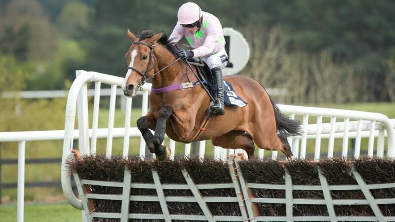 Ruby Walsh and Faugheen on the way to winning the   Punchestown Champion Hurdle. Photo: Morgan Treacy/Inpho