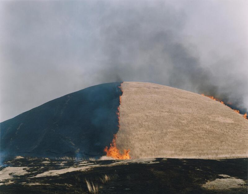 Rinko Kawauchi, Untitled, 2012