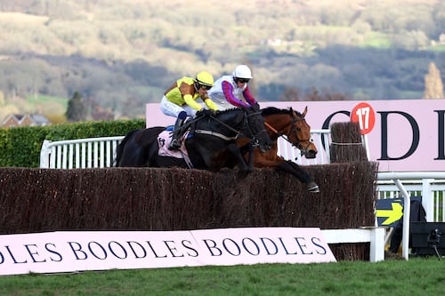 Cheltenham punters bet €280m with Paddy Power owner Flutter