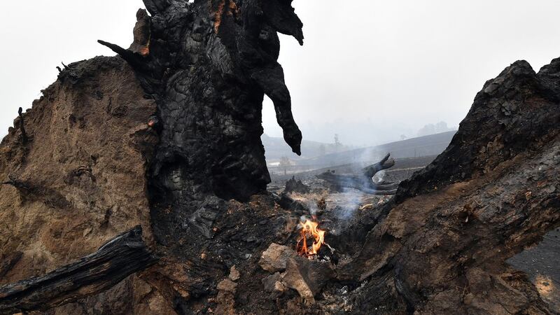 A small fire is seen on a burnt tree on the ground after an overnight bushfire in Quaama in Australia’s New South Wales state on Monday. Photograph: Saeed Khan/AFP/Getty Images