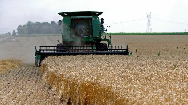 Harvest time: innovations will be needed as the global demand for grain is expected to increase by 40 to 60 per cent over the next 30 years because of population growth and other trends. Photograph: Reuters/Jim Young