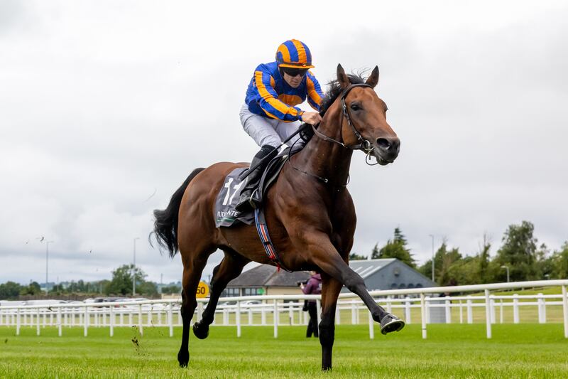 Wayne Lordan on The Lion in Winter winning the Juddmonte Chaldean Irish EBF (C & G) Maiden at the Curragh last July. Photograph: Morgan Treacy/Inpho