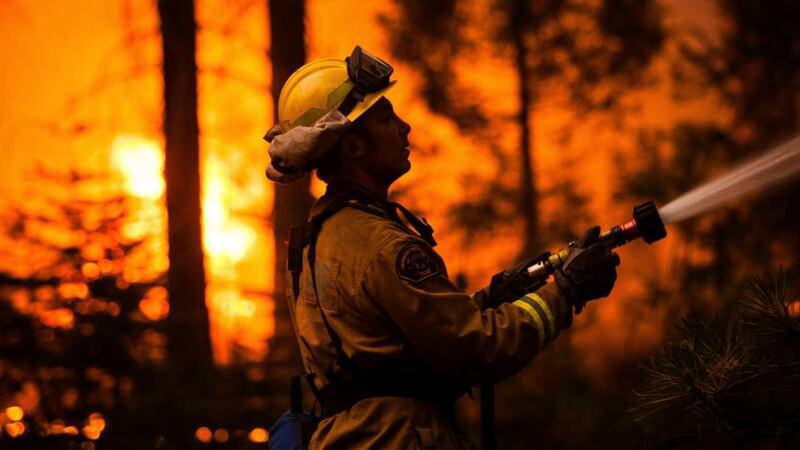 A Sacramento Metropolitan tackles the Rim Fire line near Camp Mather, California. Photograph: Max Whittaker/Reuters