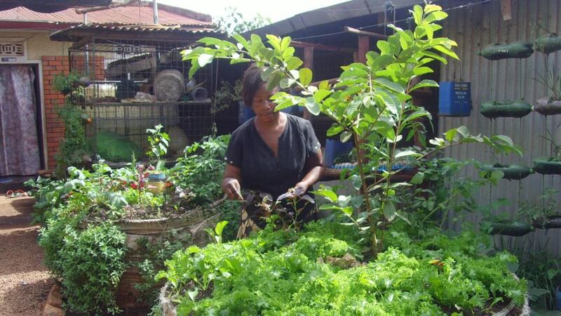 Harriet Nakabaale, 45, a resident of Kawaala, a Kampala suburb in her sack garden.