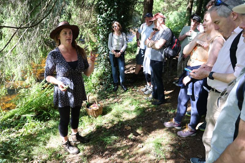 Foraging in the Co Wicklow countryside near Aughrim with Geraldine Kavanagh, who has been foraging for many years and holding classes in wild food foraging since 2011. Photograph: Nick Bradshaw 