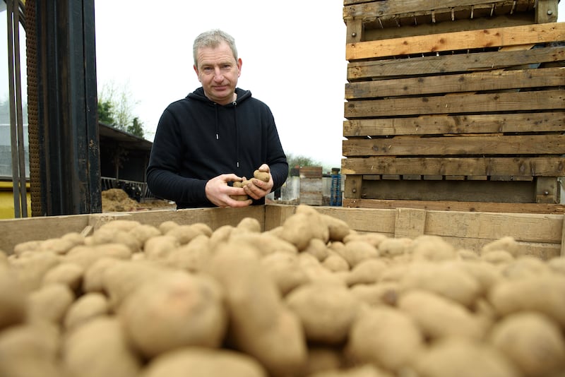 Wexford farmer Seán Ryan: 'The spec from supermarkets is so high now.' Photograph: Maura Hickey