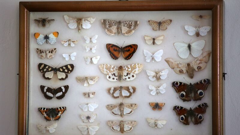 Detail in the living area of Donaguile House in Castlecomer, Co Kilkenny. Photograph: Laura Hutton/The Irish Times