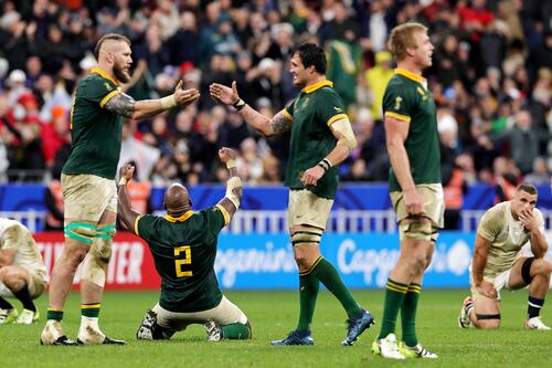 Heavyweights South Africa and New Zealand to decide Rugby World Cup top dog 