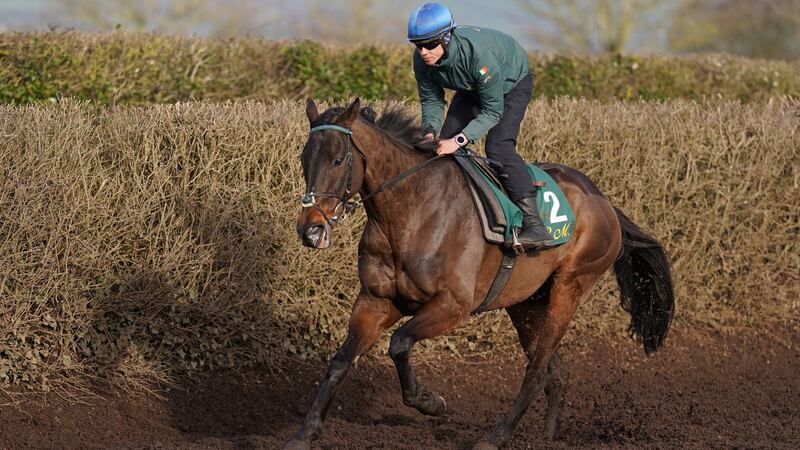 Allaho on the gallops during the media visit to Willie Mullins’s yard at Closutton, Bagenalstown on Wednesday. Photograph:  Niall Carson/PA Wire