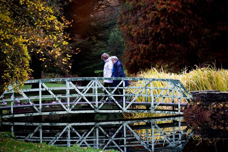 The National Botanic Gardens in Glasnevin,Dublin.Photograph: Tom Honan/The Irish Times.