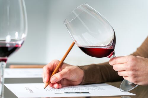 Six benchmark wine types to improve your palate