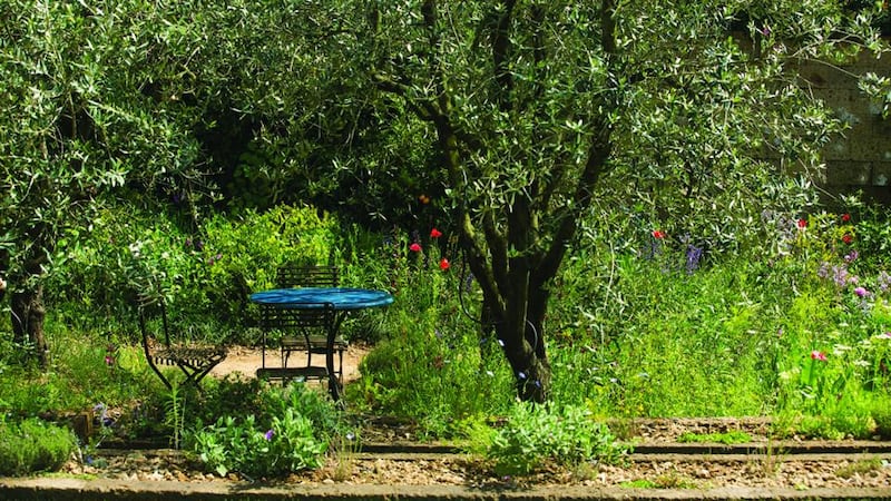 The L’Occitane Garden at the 2015 Chelsea Flower Show