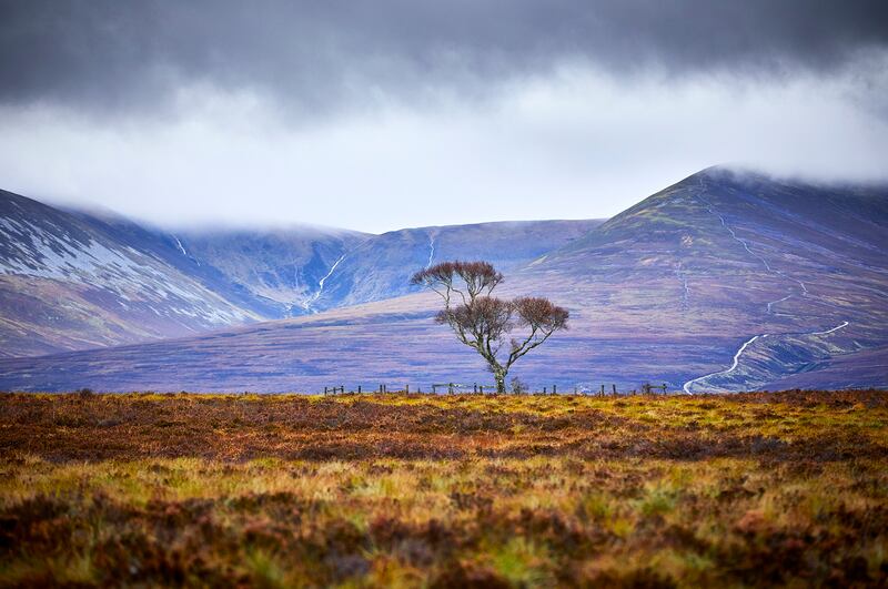 The Cairngorms: Spending time in silence has been integral to spiritual and religious practices for millennia. Photograph: Getty Images