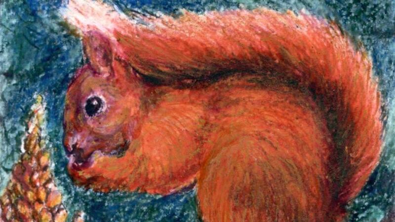 Fighting back: the red squirrel is now in all 32 counties. Illustration: Michael Viney