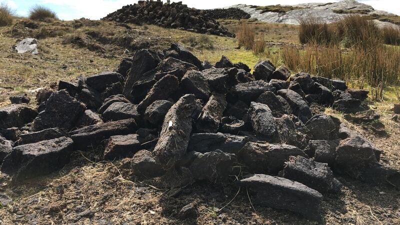 There’s great headspace in the bog, or so they tell me. Just you and the wireless and rows upon rows of mindless, back-breaking, glorious work.  Photograph: Bryan O’Brien