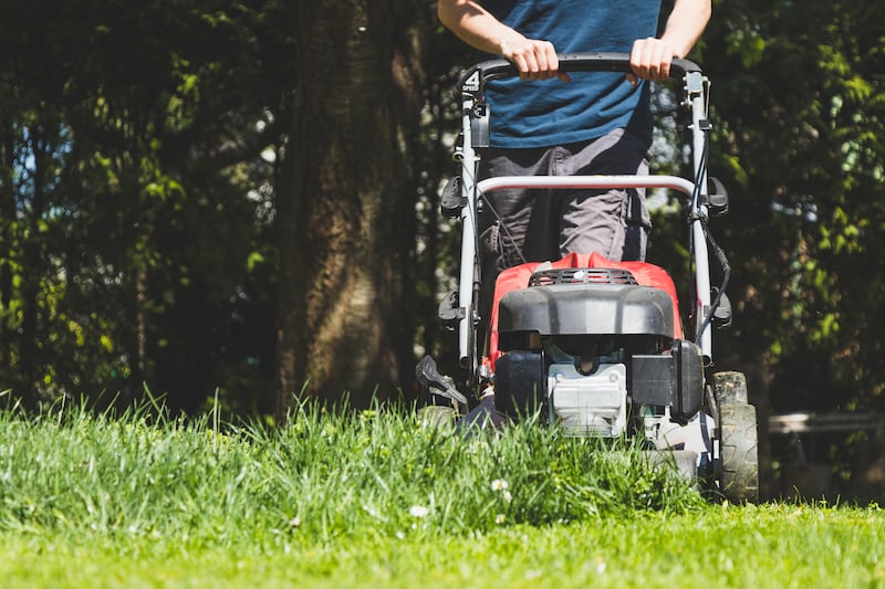 Take great care when cutting lawns. Photograph: iStock