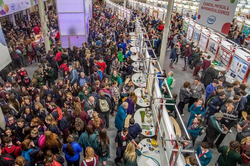 BT Young Scientist exhibition: Special awards