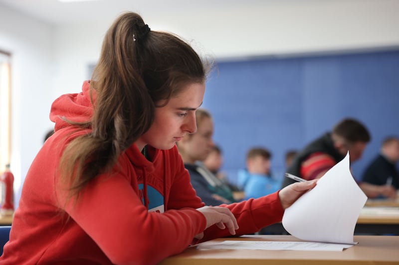 Aine McKeon, of Leitrim, in class at Ballyhaise college. Photograph: Dara Mac Dónaill 