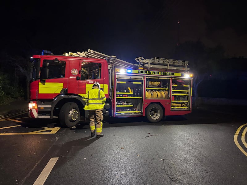 Dublin Fire Brigade attend to a fallen tree on Nutley Lane, as Storm Eyown hits hard. Photograph: Dublin Fire Brigade